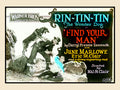 Rin Tin Tin, Find Your Man — Restored Vintage Lantern Slide Print